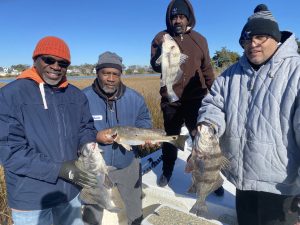 Topsail Island Fishing Guides | Captain Mike Hoffman | Captain Michael Hoffman | Topsail Island | Fishing Charters | Fishing Excursions | Family Fishing | Sneads Ferry NC | North Topsail Beach NC | Surf City NC | Topsail Beach NC